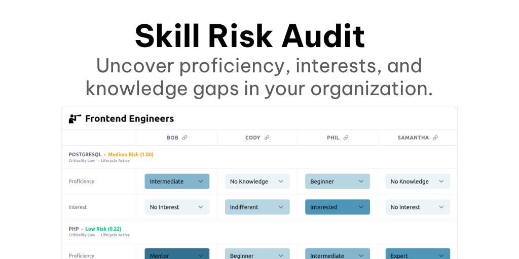 Skill Risk Audit - Product Image