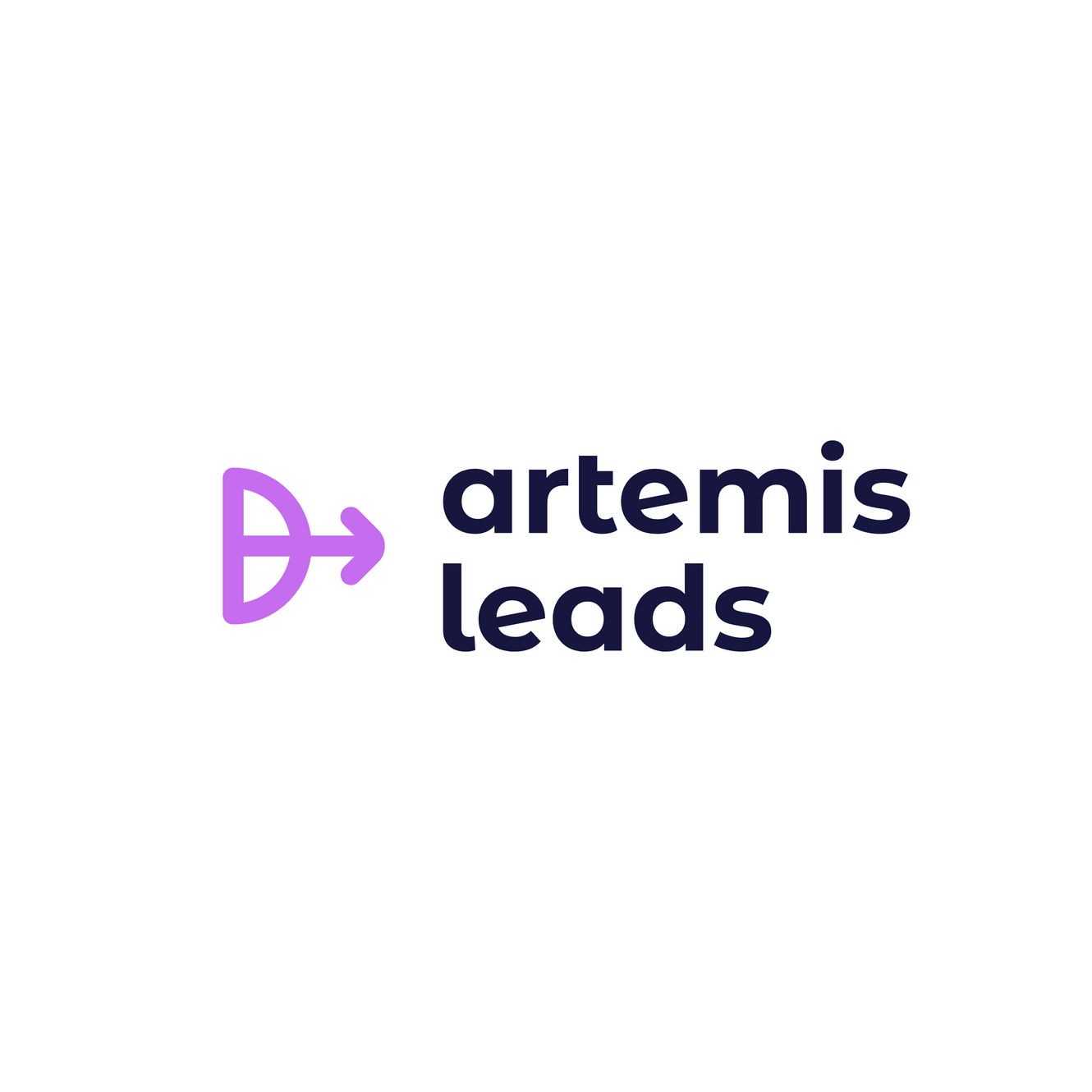 Artemis Leads - Product Image