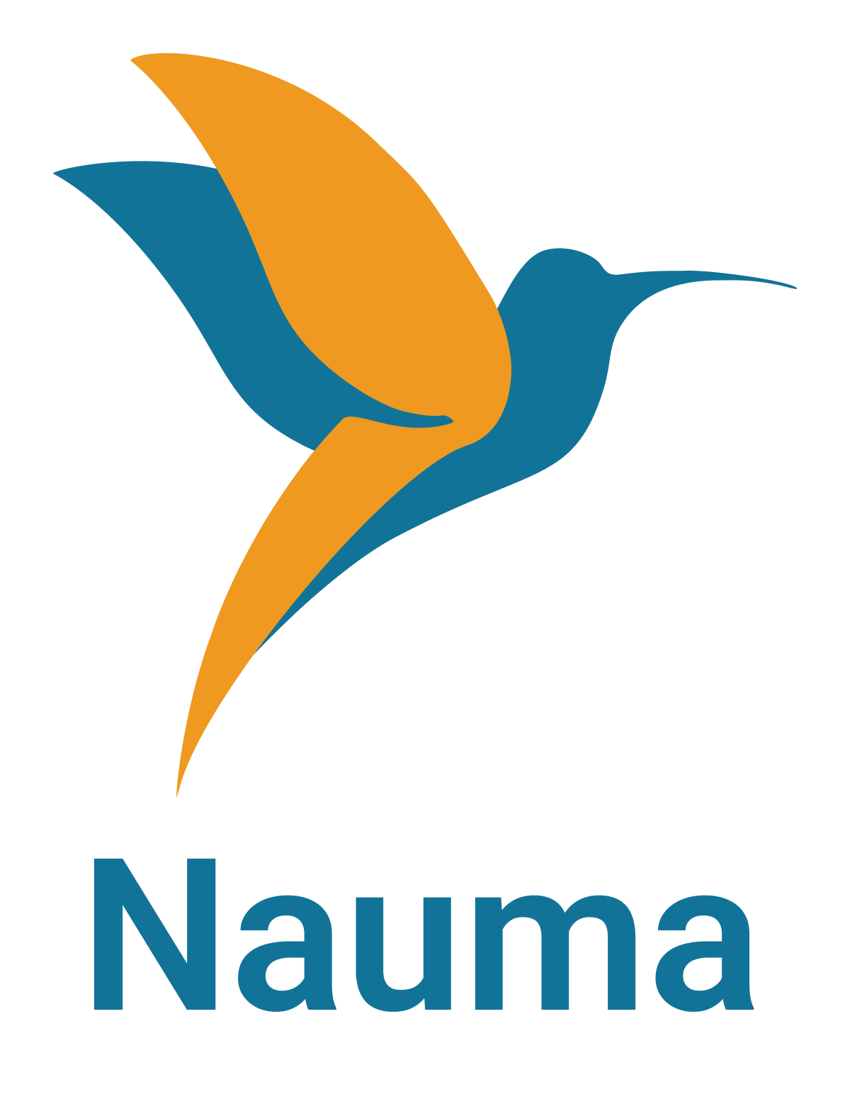 Nauma logo