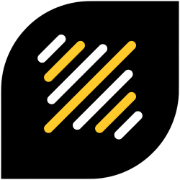 LetsVocal logo