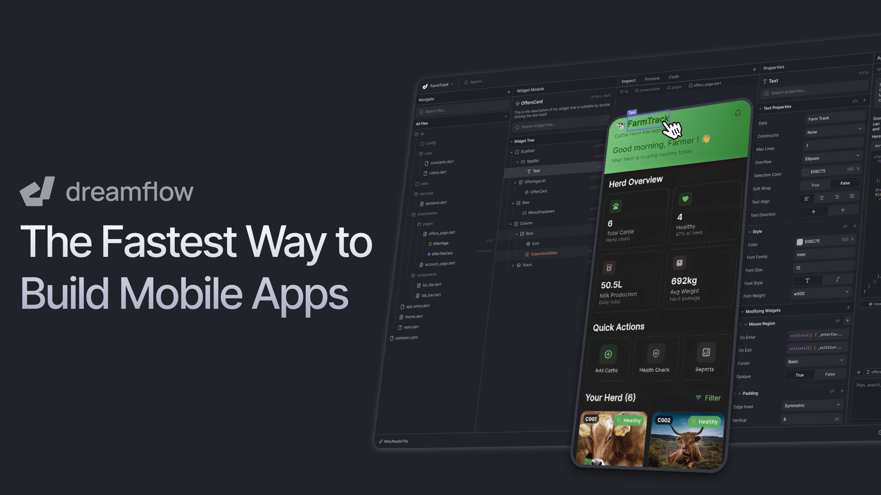 Dreamflow product screenshot