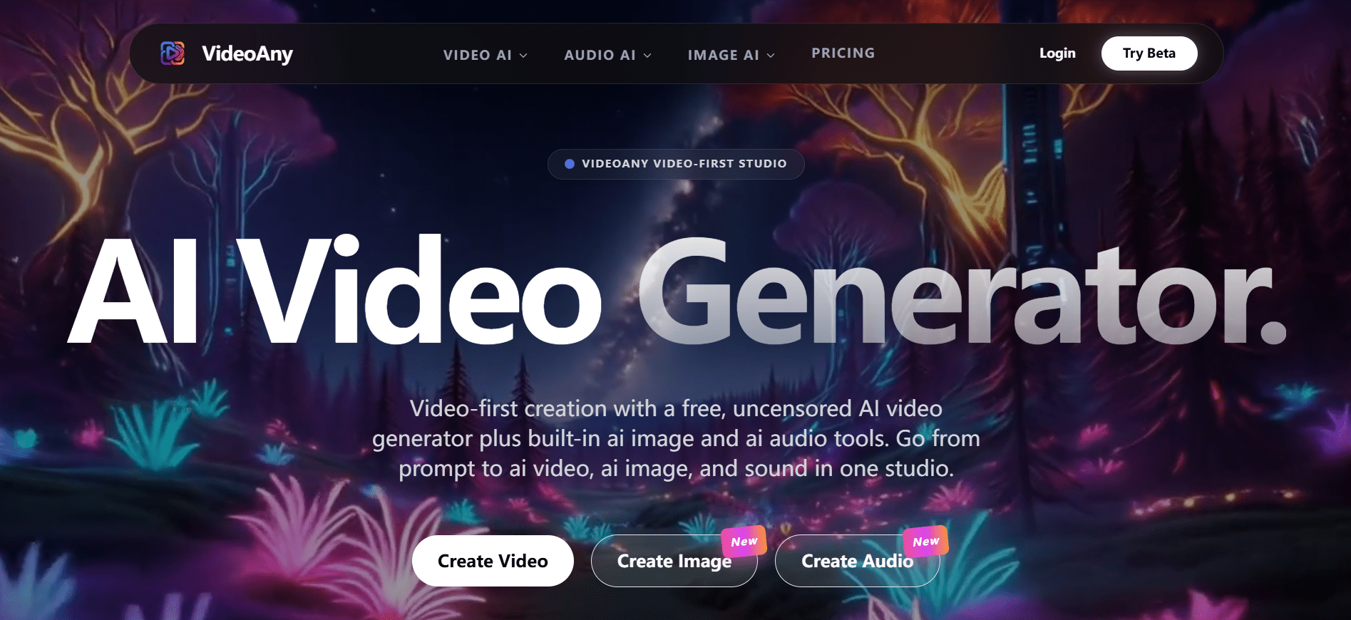 VideoAny product screenshot