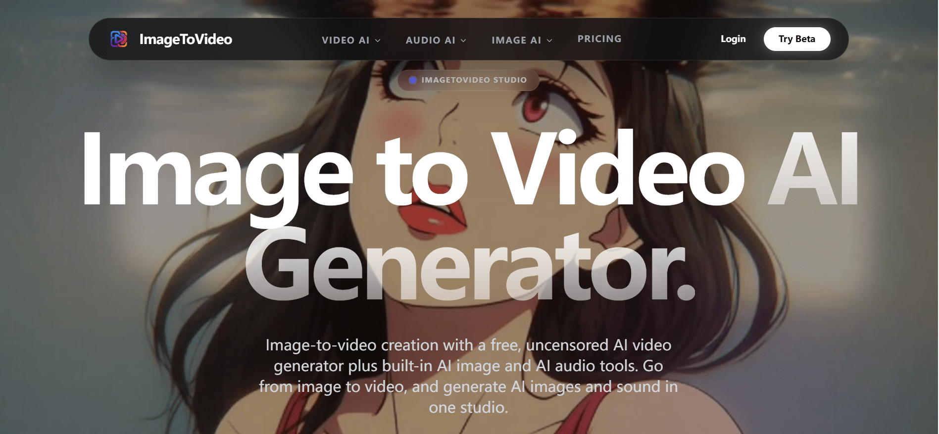 ImageToVideo product screenshot