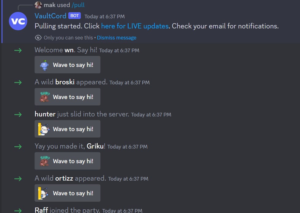 VaultCord - Product Image