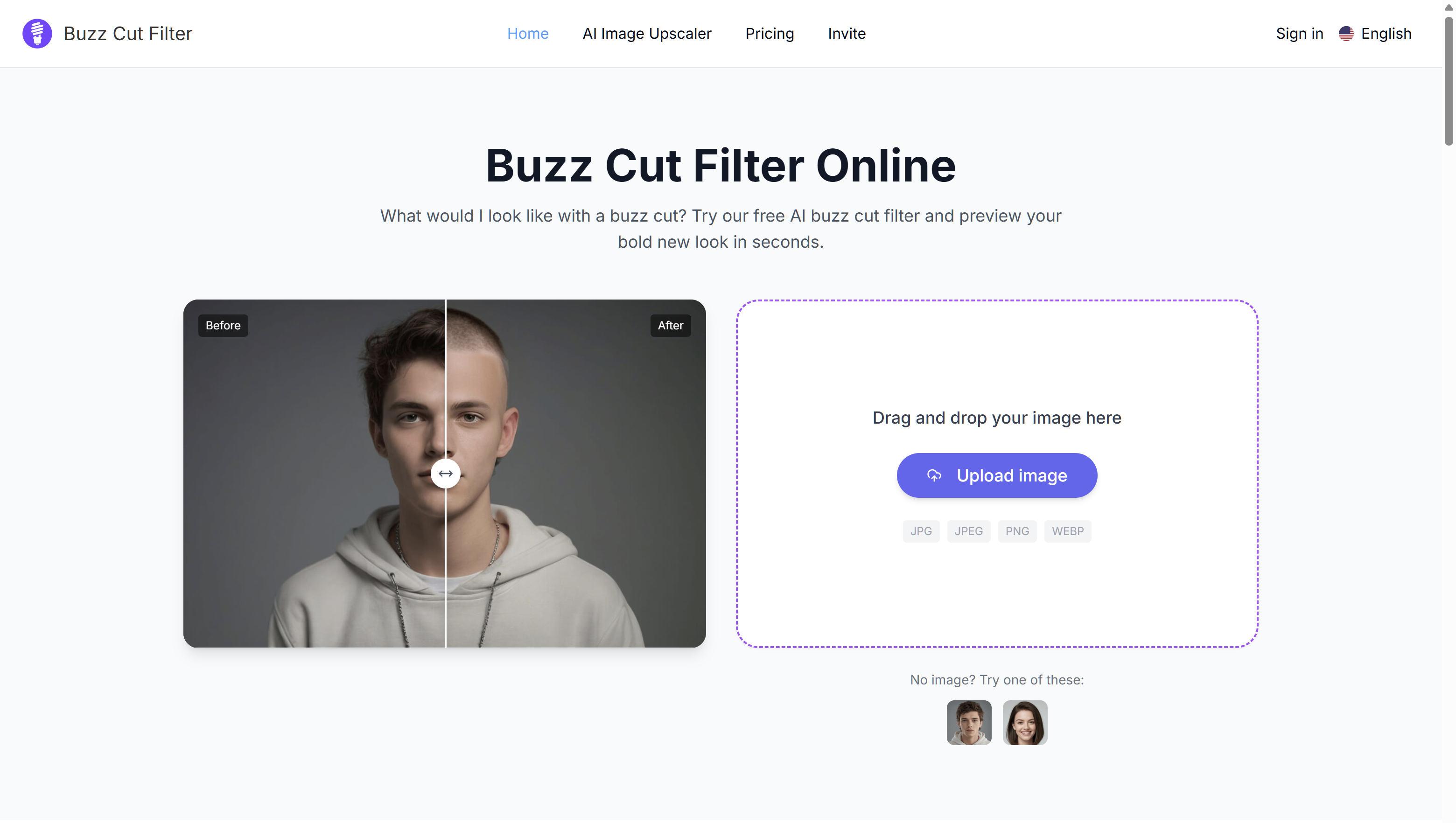 Buzz Cut Filter product screenshot