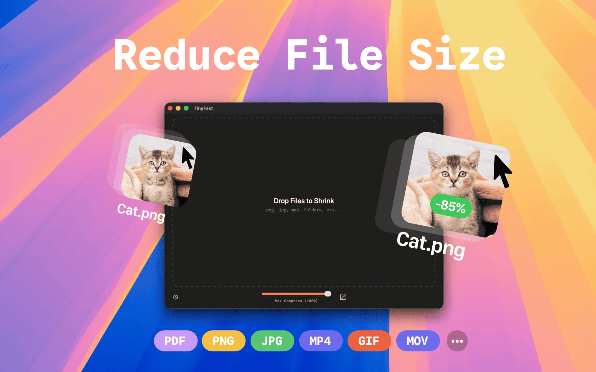 TinyFast product screenshot