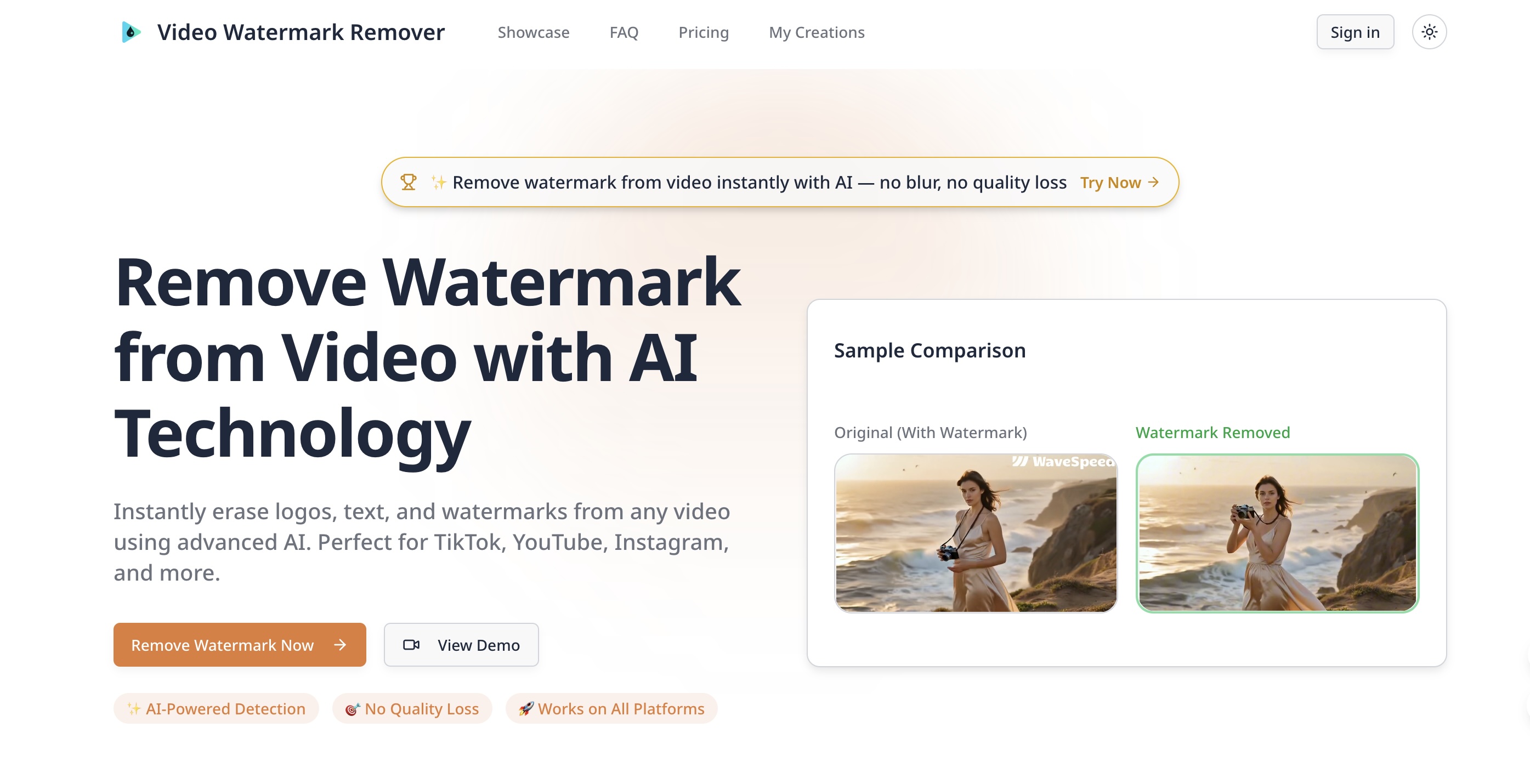 AI Video Watermark Remover product screenshot