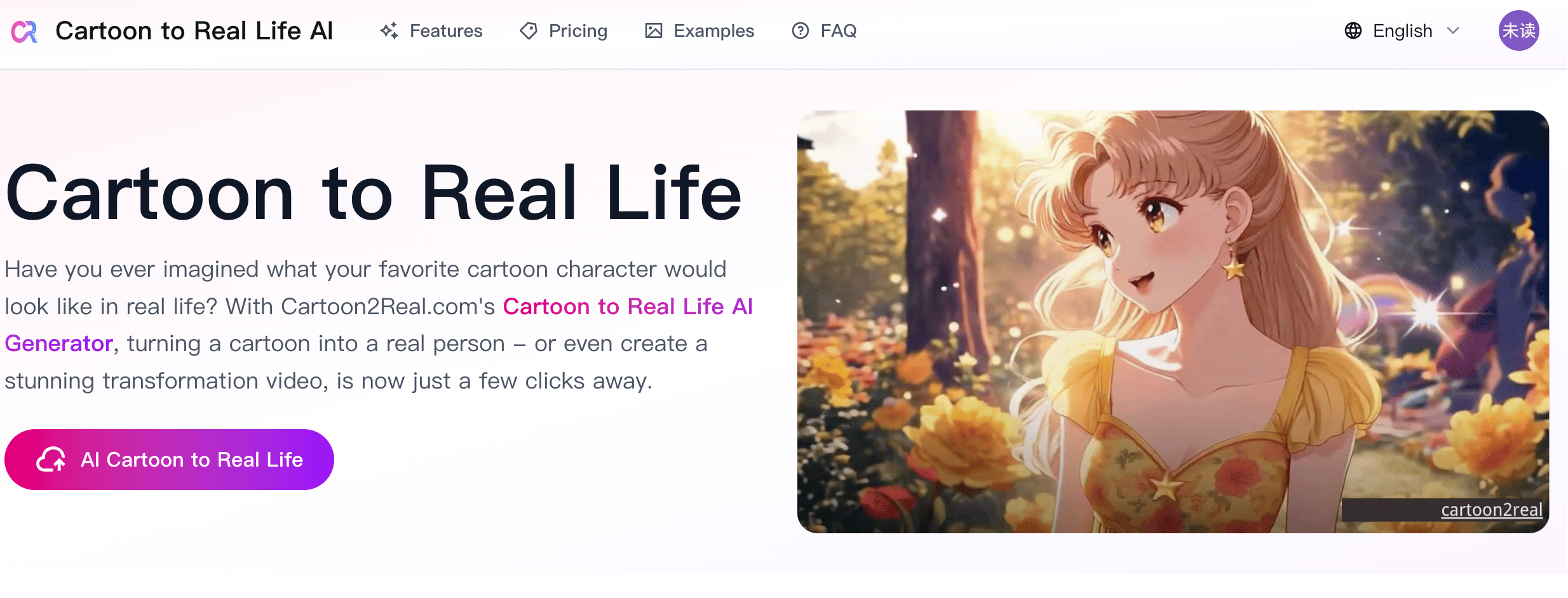 Cartoon2Real - Product Image